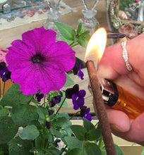 Cargar imagen en el visor de la galería, Incienso de flor de la pasión