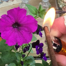Load image into Gallery viewer, Our incense are made to light up with ease, burn clean, and have a long burn time.