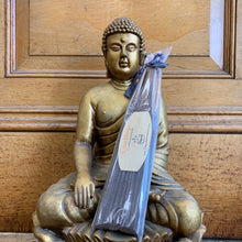 Load image into Gallery viewer, Coco Mango | Fragrance | Incense | Natural Joss Sticks | 11 Inch and 19 Inch