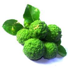 Load image into Gallery viewer, Bergamot (Italian Cold Pressed) E/O