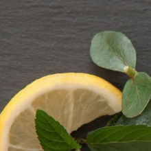 Load image into Gallery viewer, Eucalyptus, Lemon