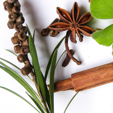 Load image into Gallery viewer, Cinnamon Leaf