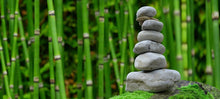 Load image into Gallery viewer, Pine Needle