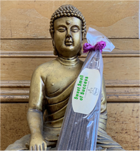 Load image into Gallery viewer, Sweet Smell of Success Incense