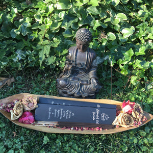 A fabulous Gift Idea. A Buddha statue Incense Holder behind Gift Boxed Essential Oil Incense. The Perfect Gift!