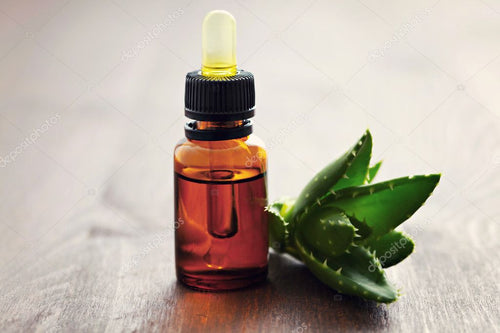 Aloe Vera Carrier Oil