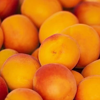 Apricot Carrier Oil