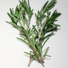 Load image into Gallery viewer, Rosemary Organic